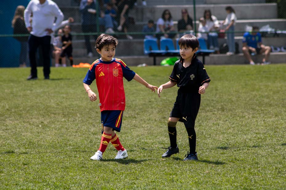 Ir a la Siguiente Foto