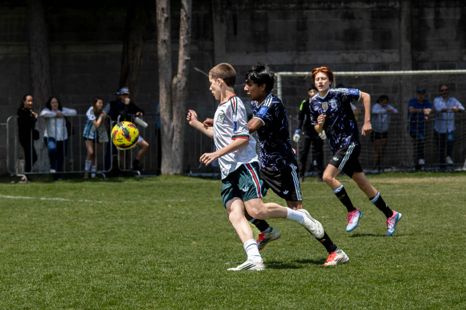 Ir a la Siguiente Foto