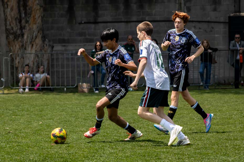 Ir a la Siguiente Foto