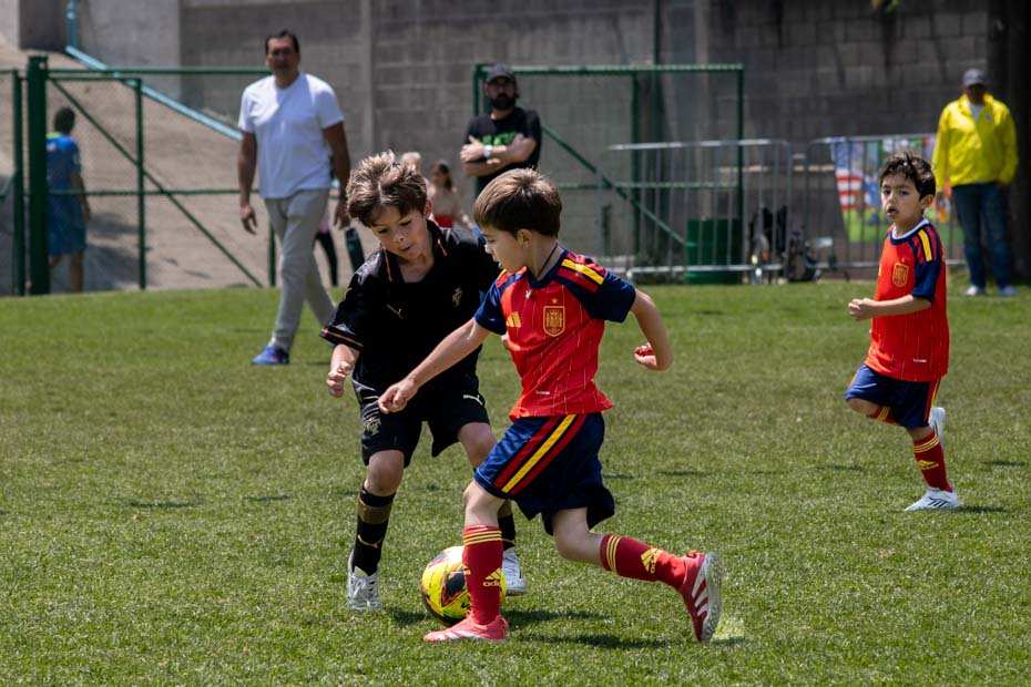 Ir a la Siguiente Foto