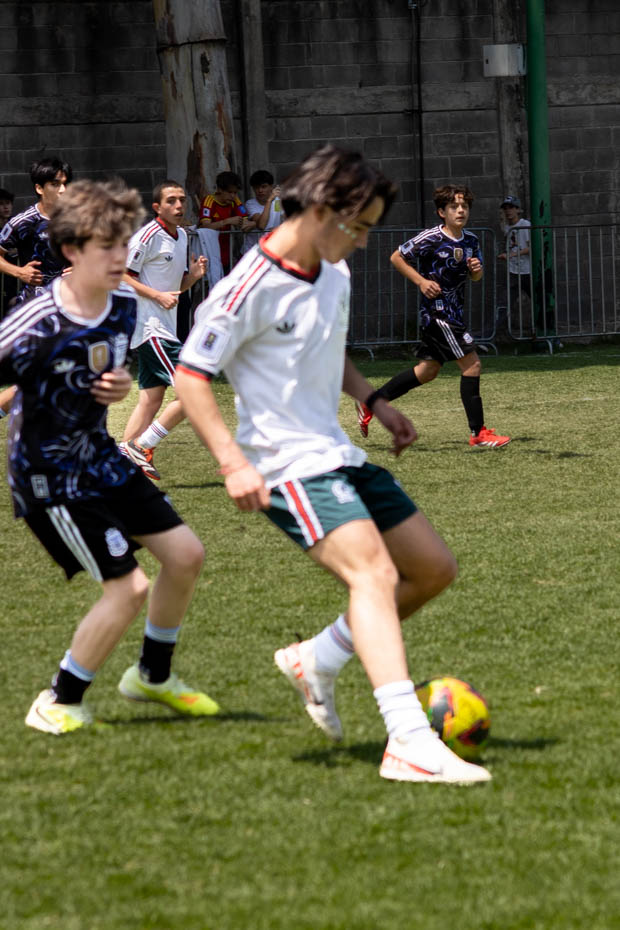 Ir a la Siguiente Foto