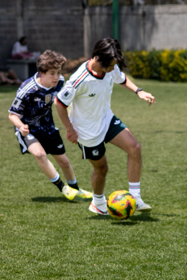 Ir a la Siguiente Foto