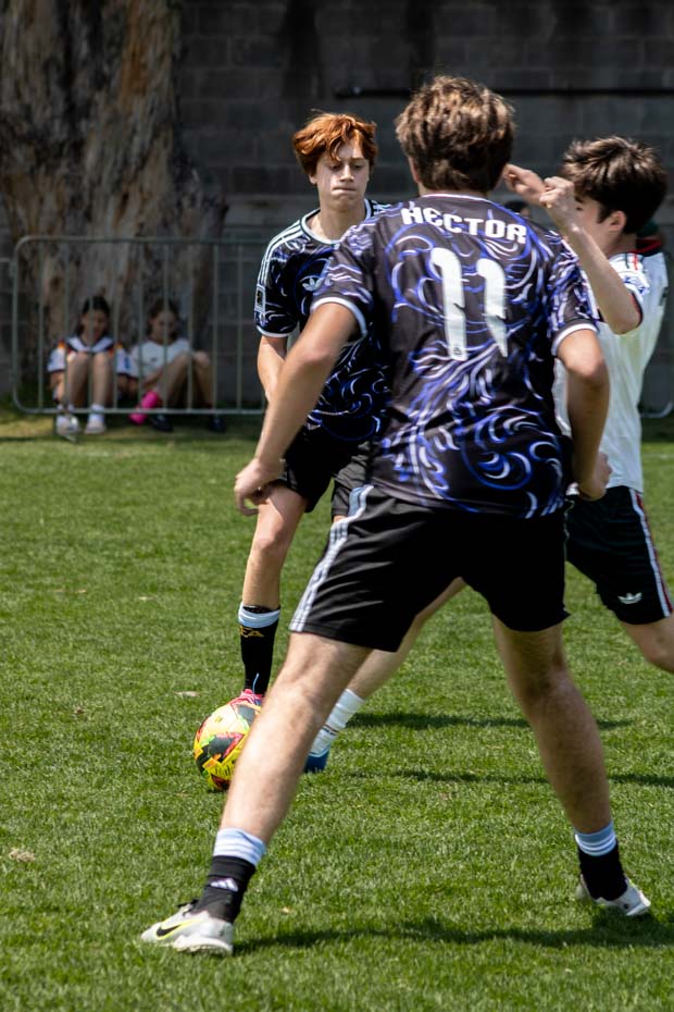 Ir a la Siguiente Foto