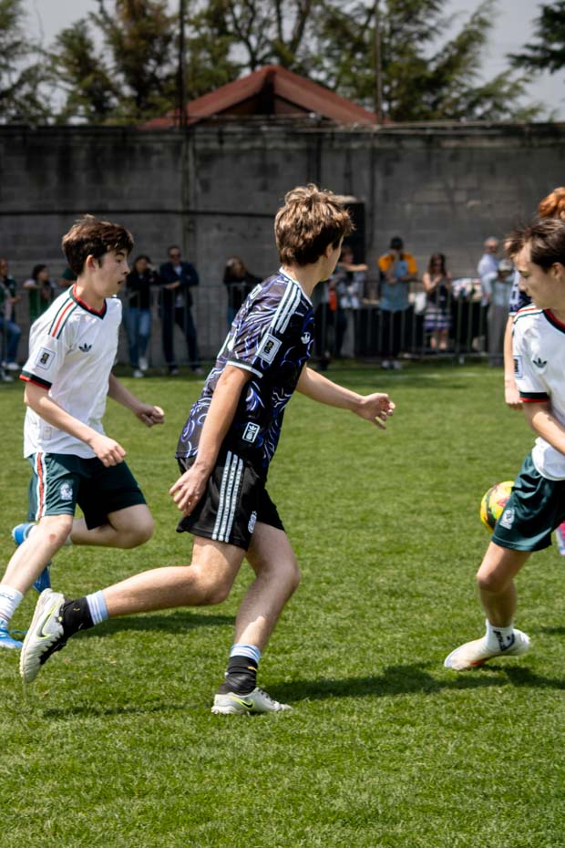 Ir a la Siguiente Foto