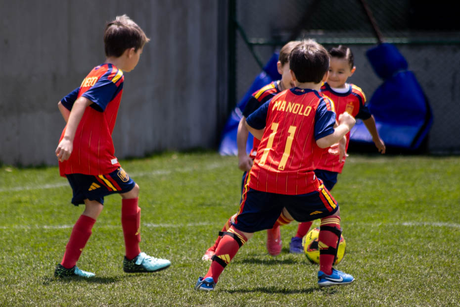 Ir a la Siguiente Foto