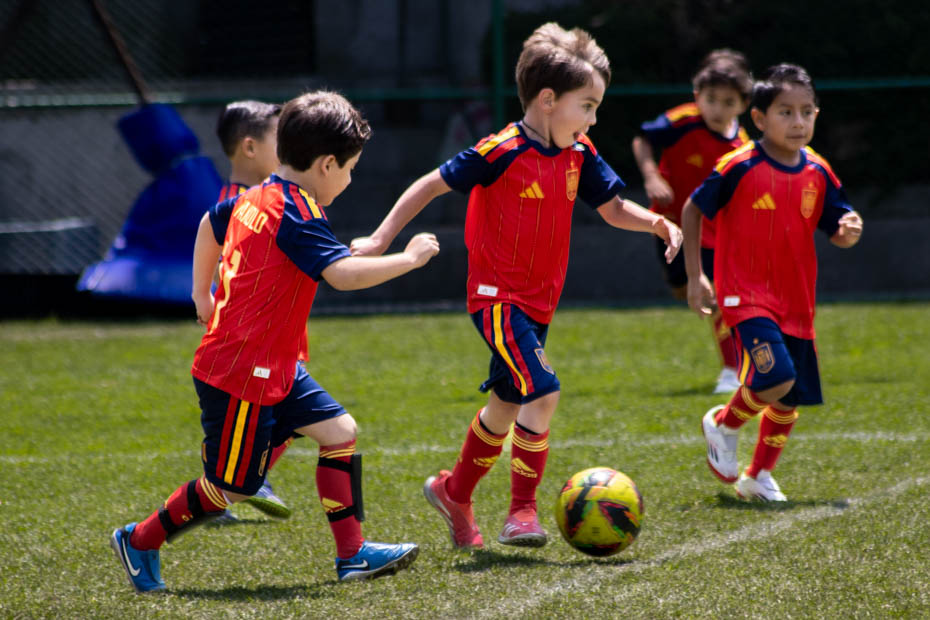 Ir a la Siguiente Foto