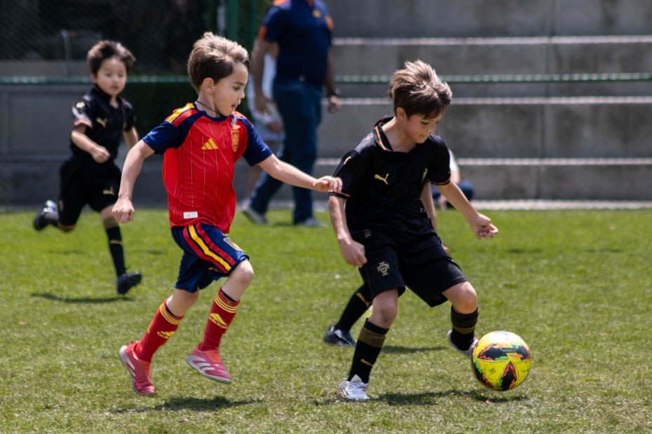 Ir a la Siguiente Foto