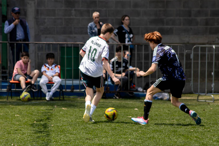 Ir a la Siguiente Foto