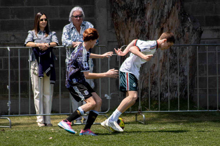 Ir a la Siguiente Foto