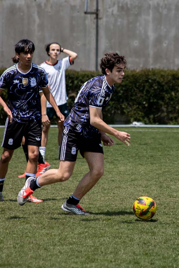 Ir a la Siguiente Foto