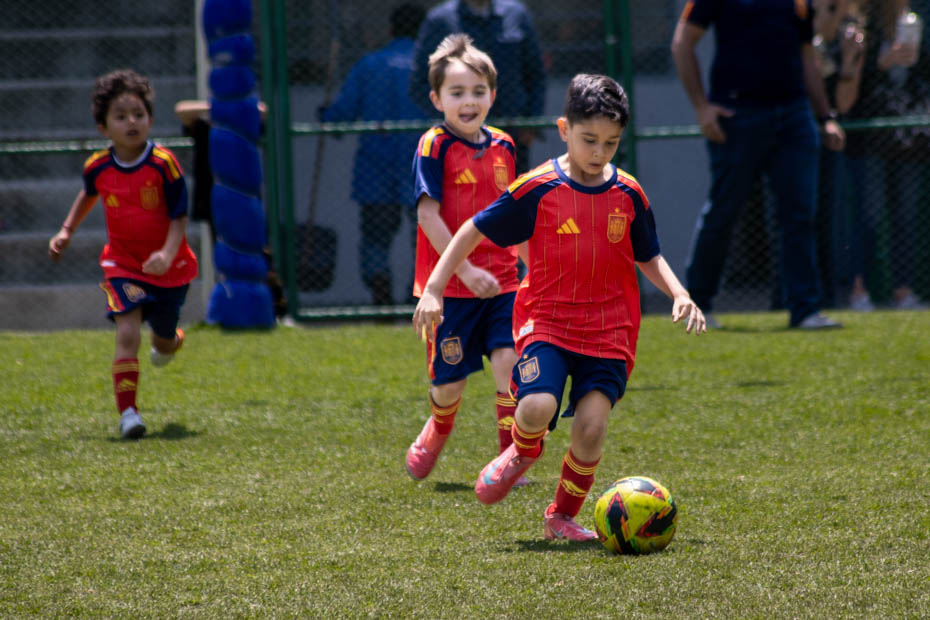 Ir a la Siguiente Foto