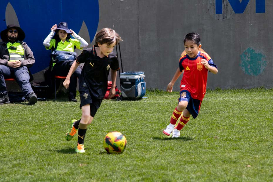 Ir a la Siguiente Foto