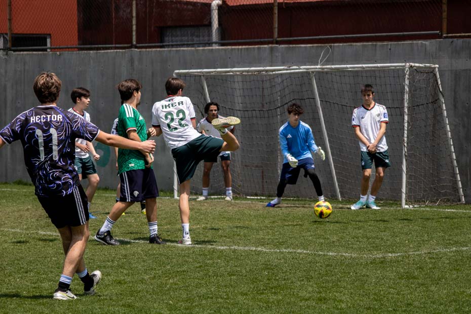 Ir a la Siguiente Foto