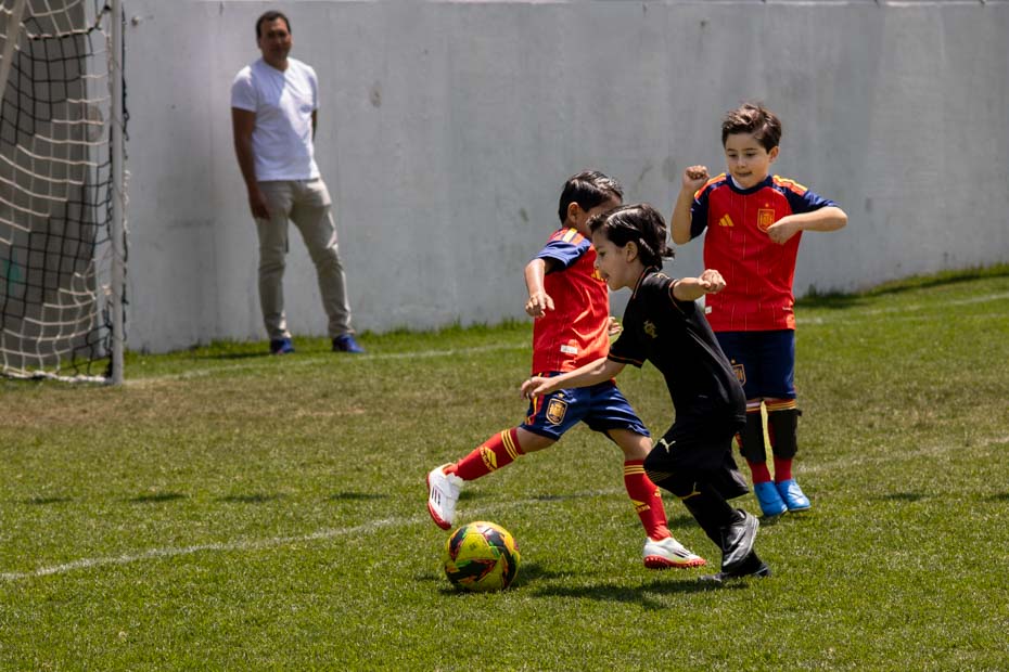 Ir a la Siguiente Foto