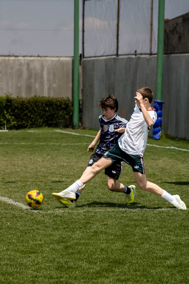 Ir a la Siguiente Foto