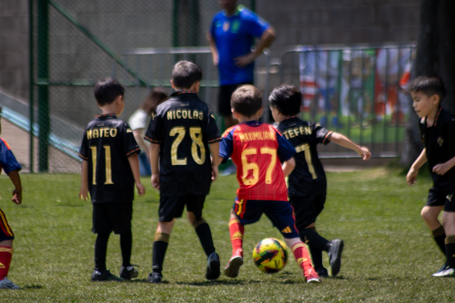 Ir a la Siguiente Foto