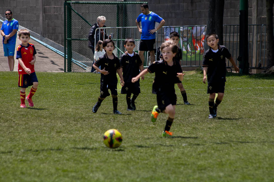 Ir a la Siguiente Foto