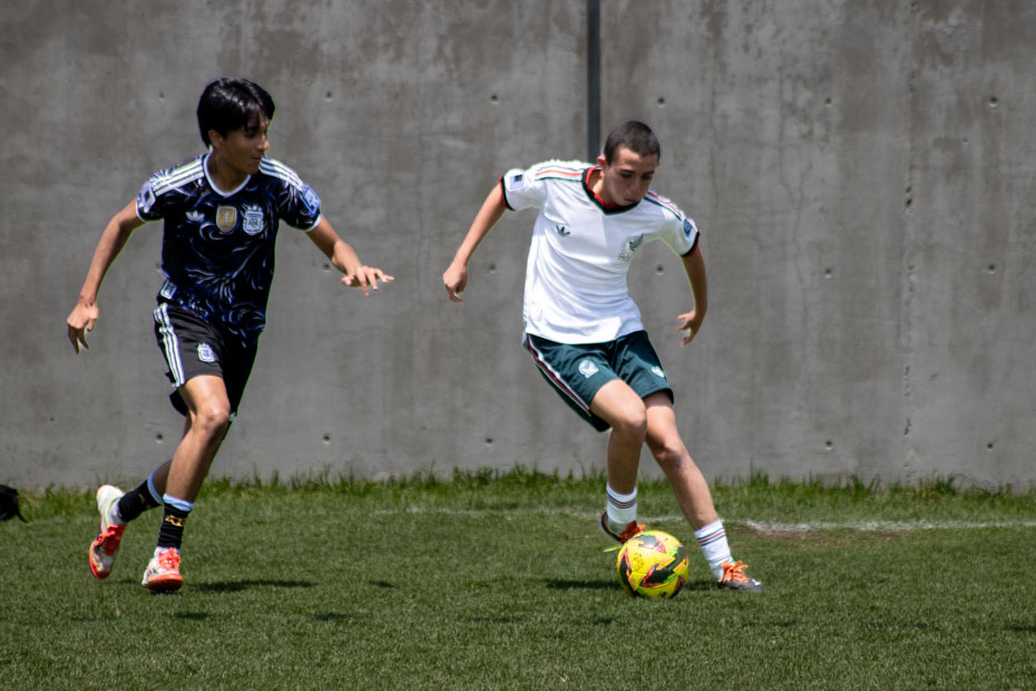 Ir a la Siguiente Foto