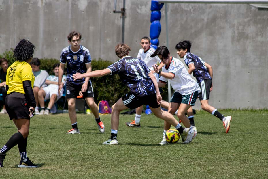 Ir a la Siguiente Foto