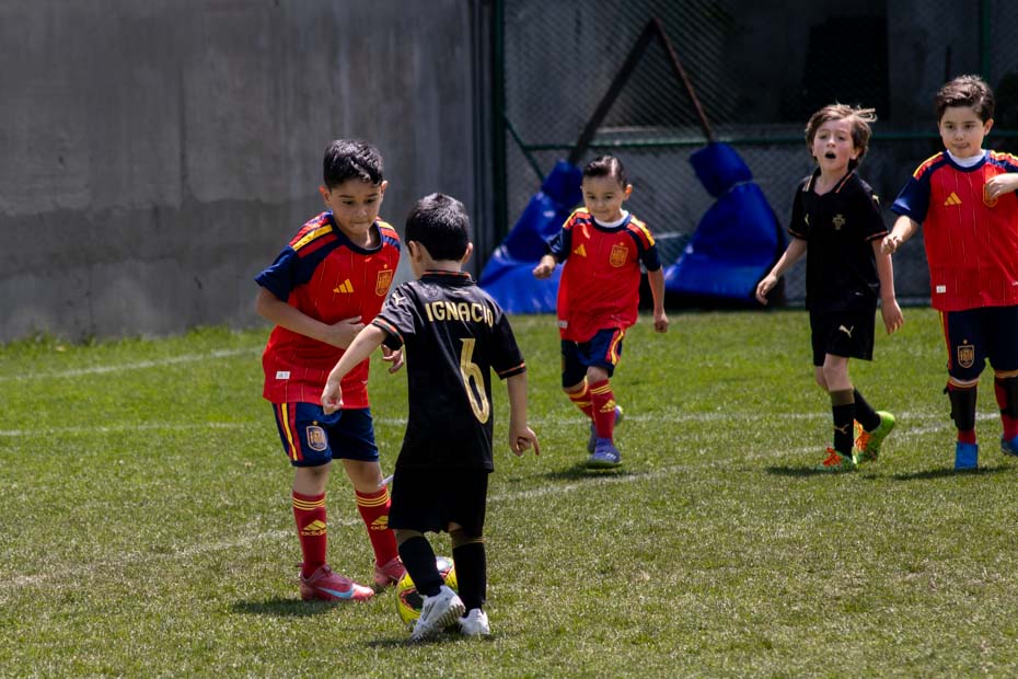 Ir a la Siguiente Foto