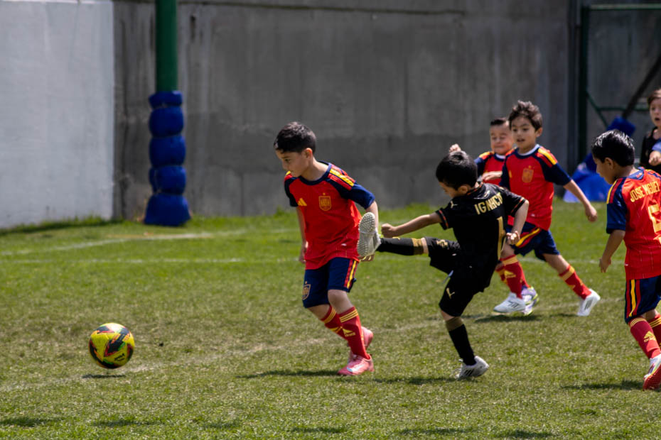 Ir a la Siguiente Foto