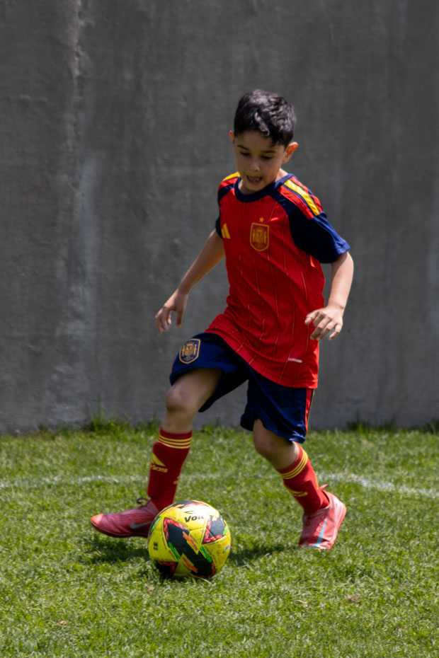 Ir a la Siguiente Foto