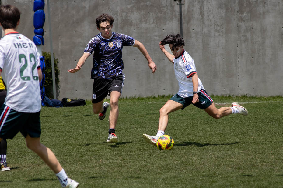 Ir a la Siguiente Foto