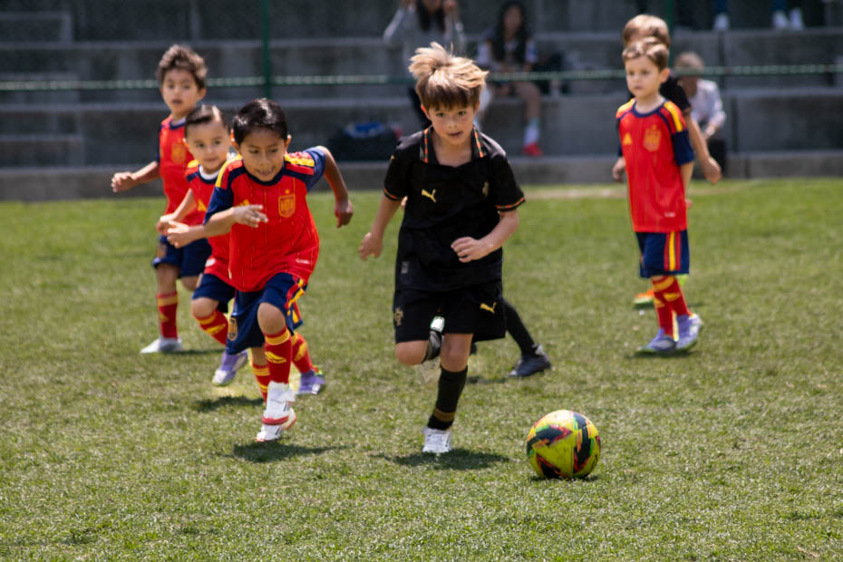 Ir a la Siguiente Foto