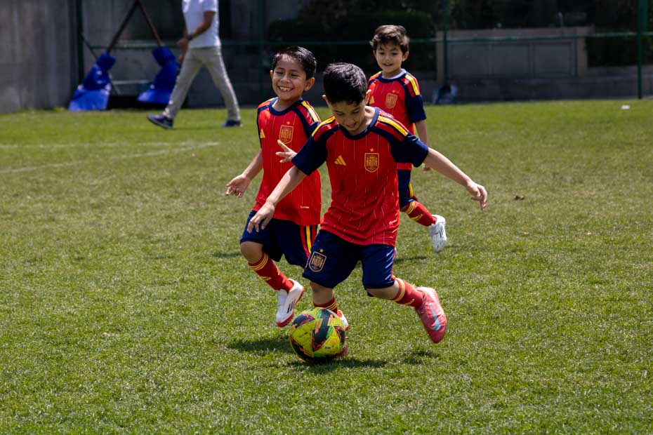 Ir a la Siguiente Foto