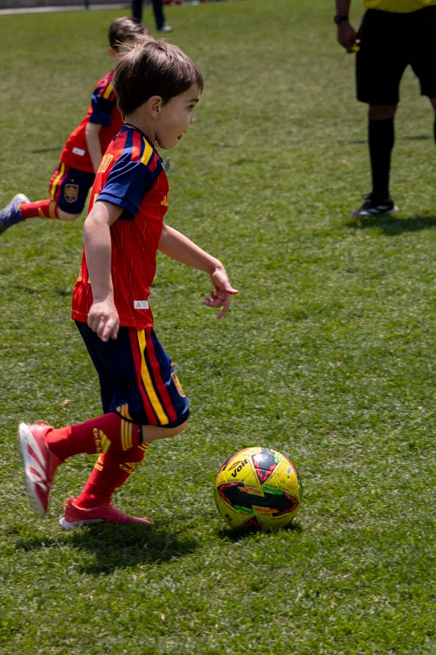 Ir a la Siguiente Foto