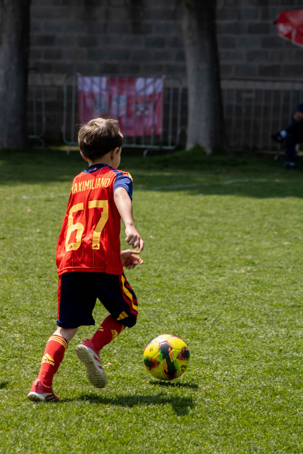 Ir a la Siguiente Foto