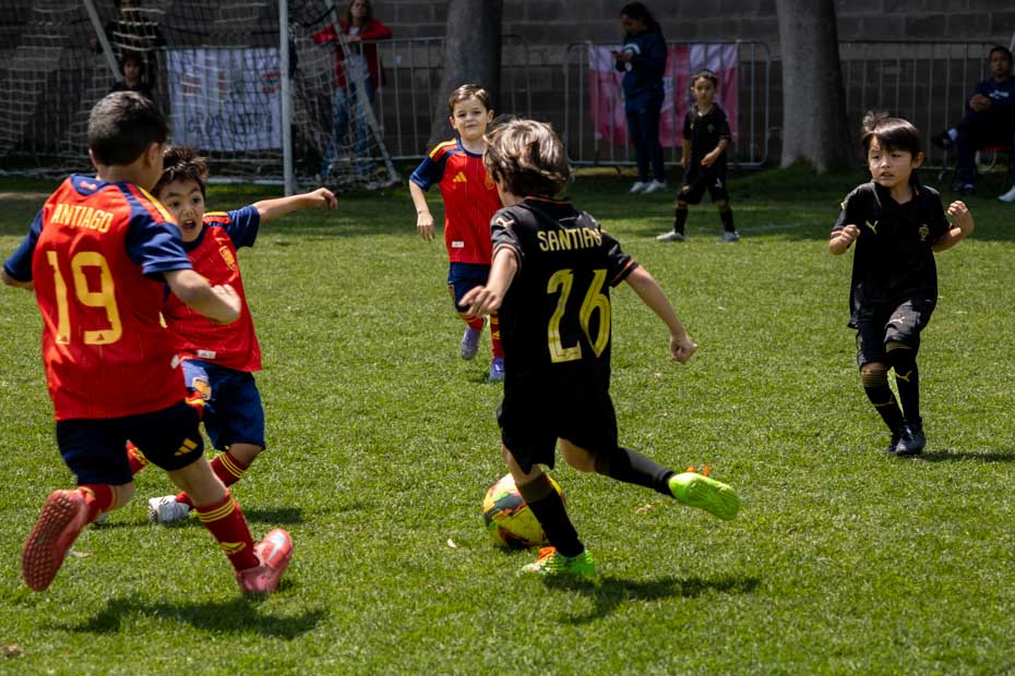 Ir a la Siguiente Foto