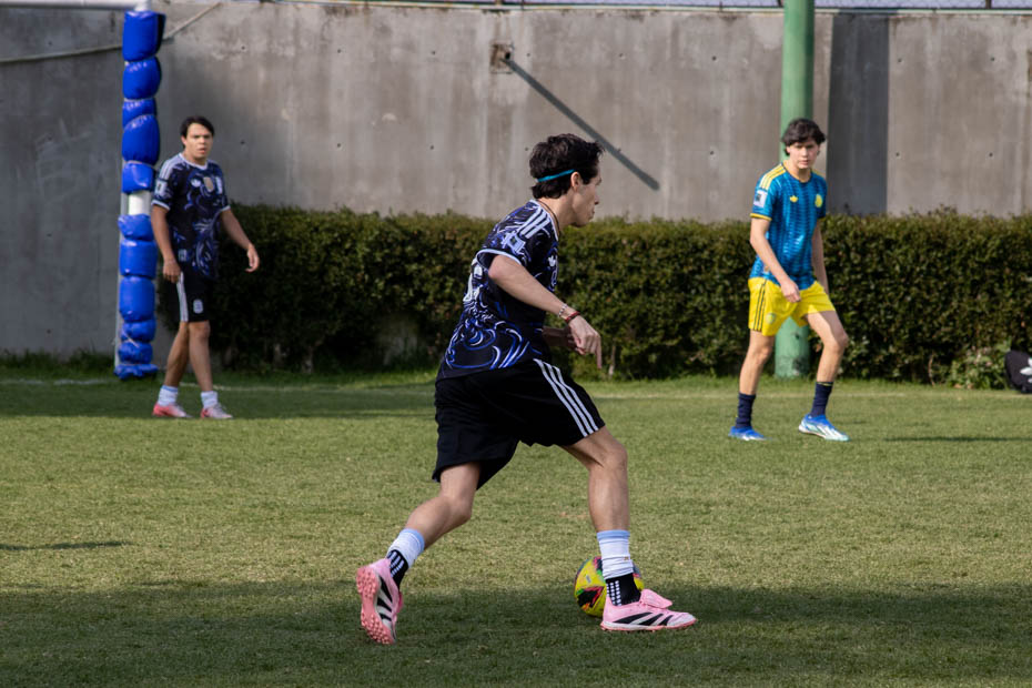 Ir a la Siguiente Foto