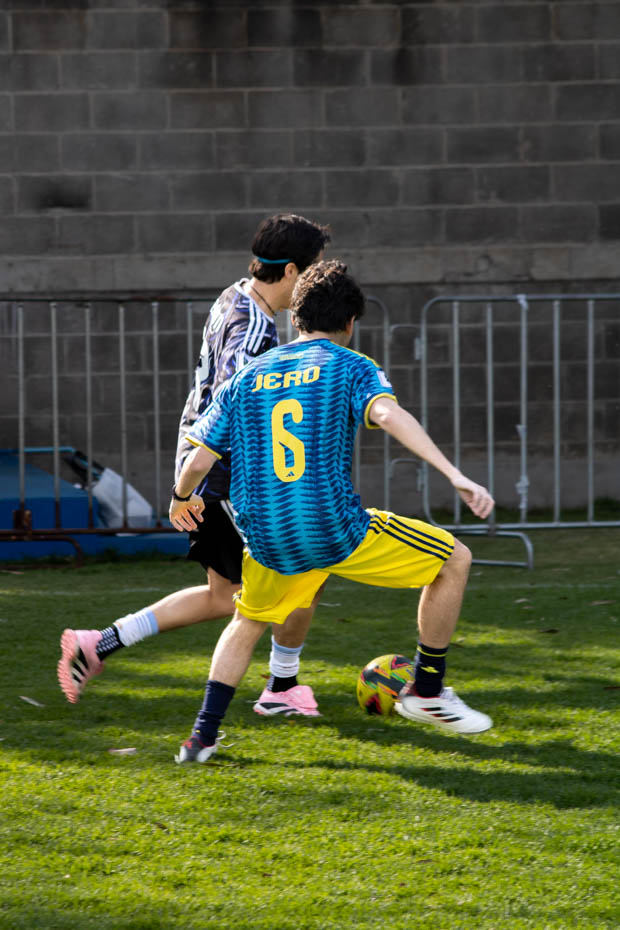 Ir a la Siguiente Foto