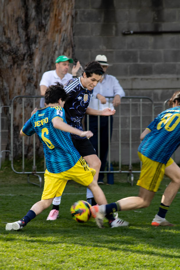 Ir a la Siguiente Foto