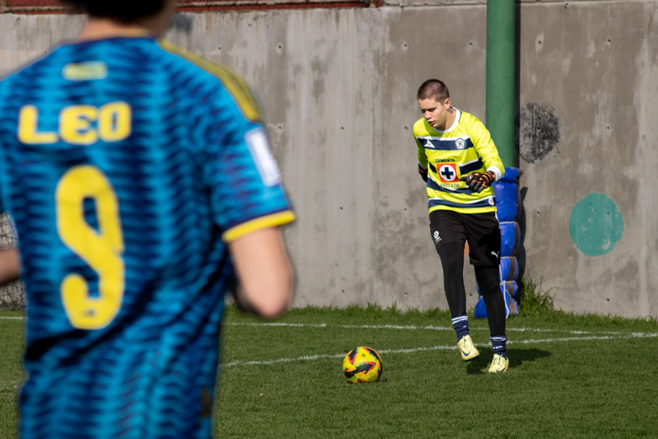 Ir a la Siguiente Foto