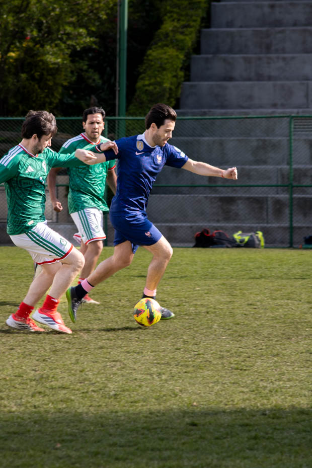 Ir a la Siguiente Foto