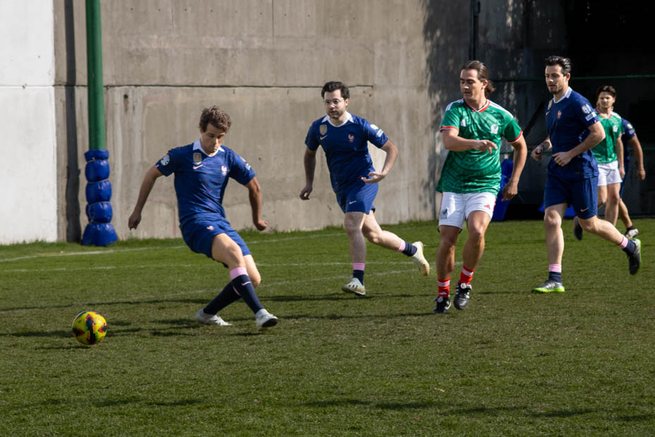 Ir a la Siguiente Foto