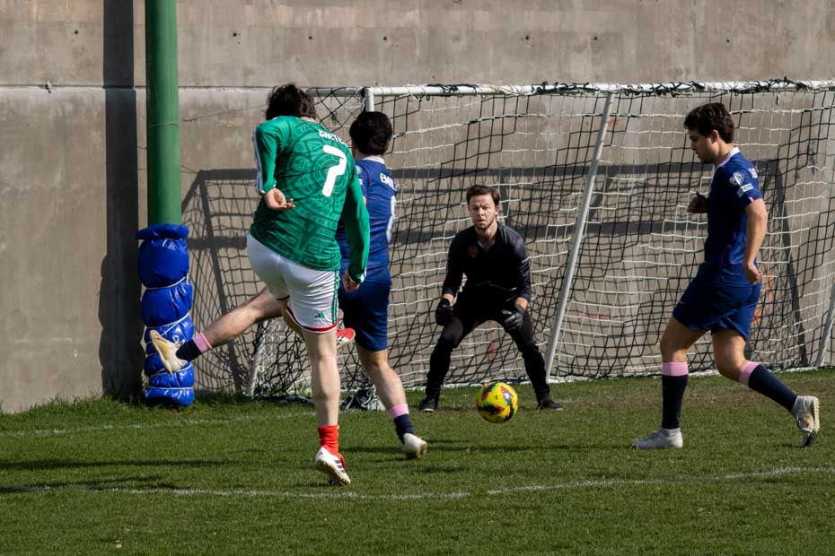 Ir a la Siguiente Foto