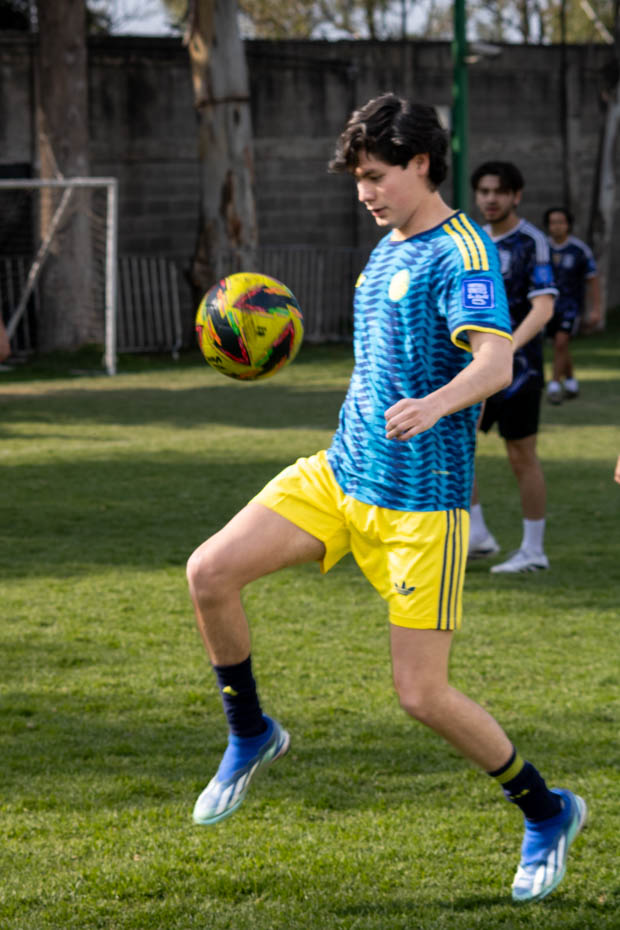 Ir a la Siguiente Foto