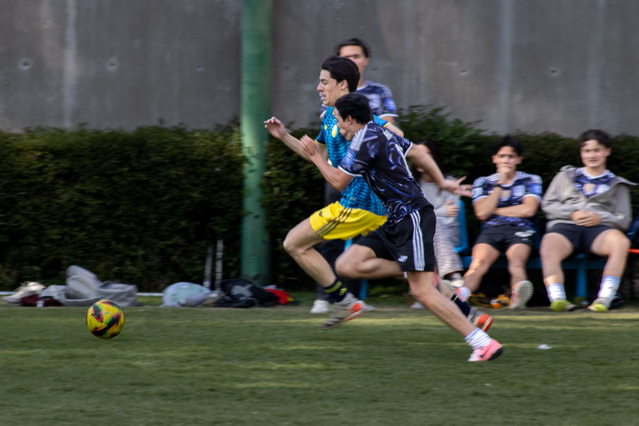 Ir a la Siguiente Foto