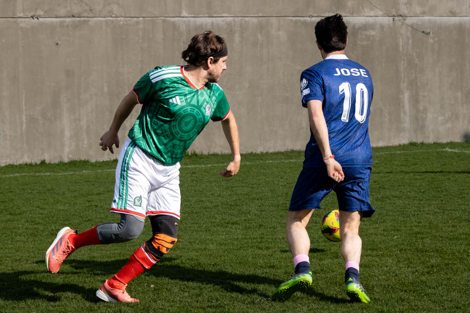 Ir a la Siguiente Foto