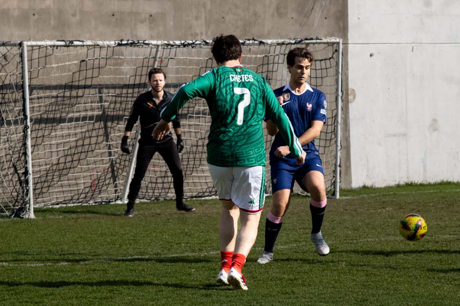 Ir a la Siguiente Foto