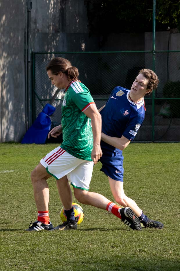 Ir a la Siguiente Foto