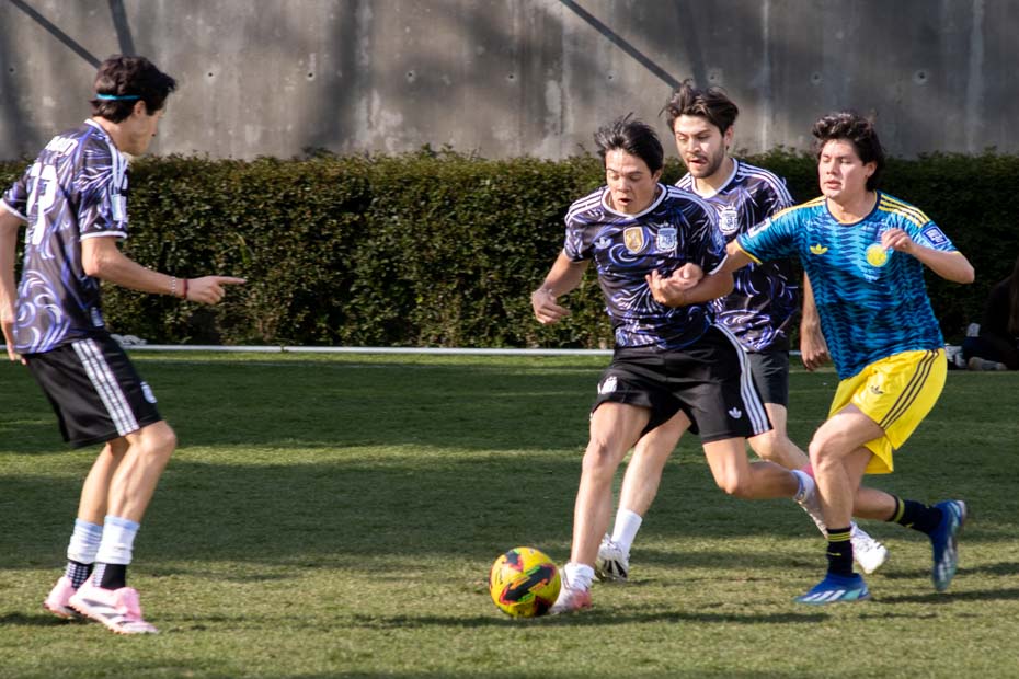 Ir a la Siguiente Foto