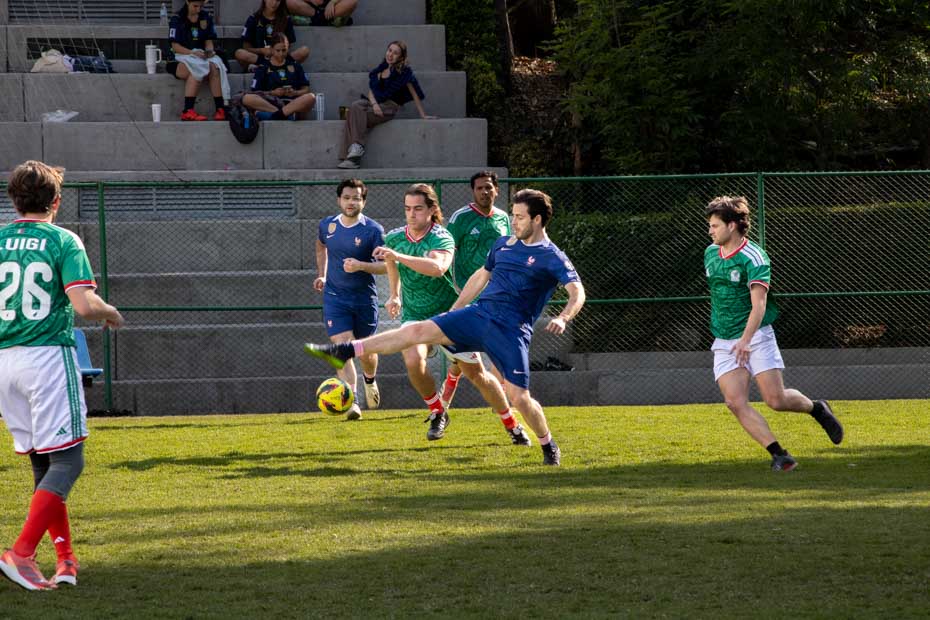 Ir a la Siguiente Foto