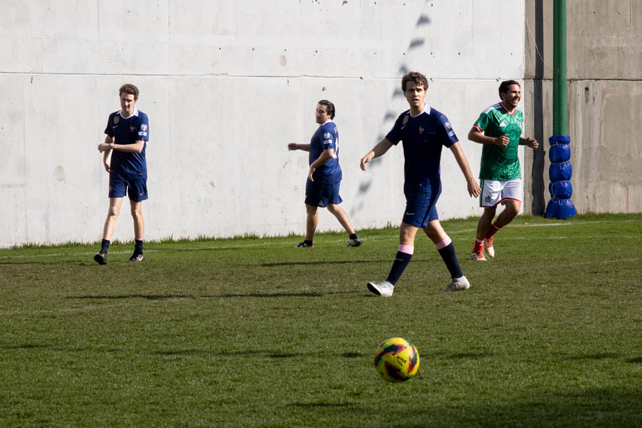 Ir a la Siguiente Foto