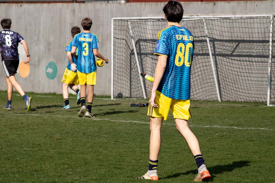 Ir a la Siguiente Foto