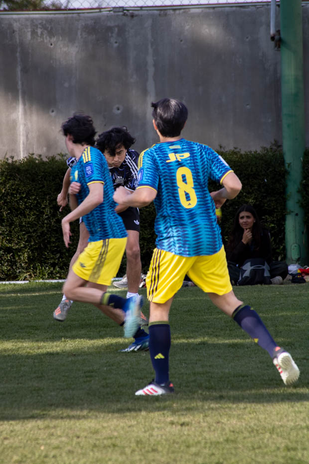 Ir a la Siguiente Foto