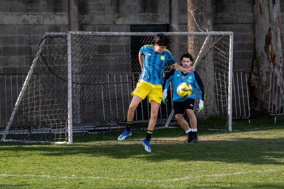 Ir a la Siguiente Foto